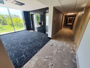 Imperiall Apart Sianożęty