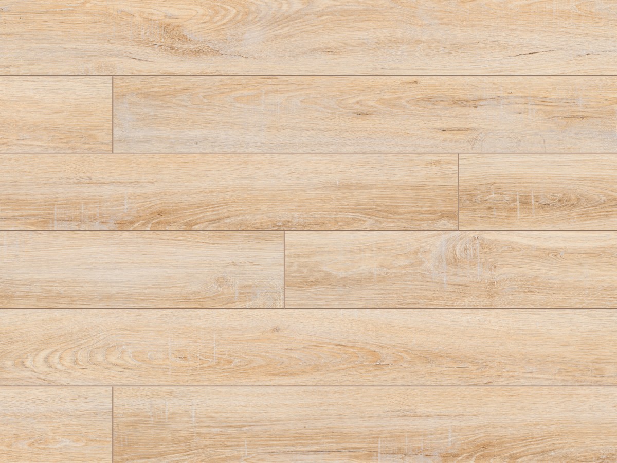 Classen Dąb Springfield