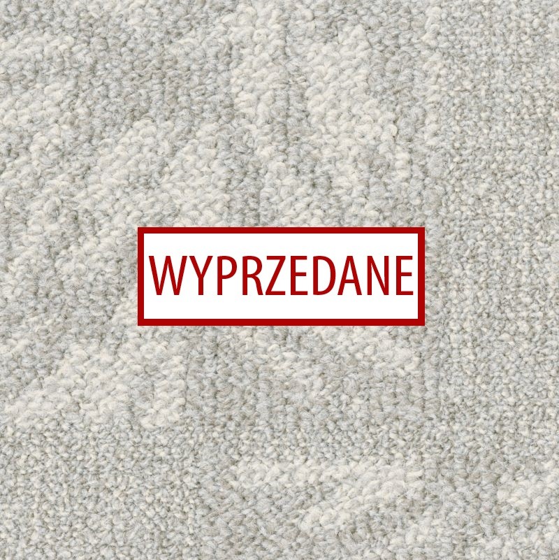 Desso Fern AA19 9965 promocja