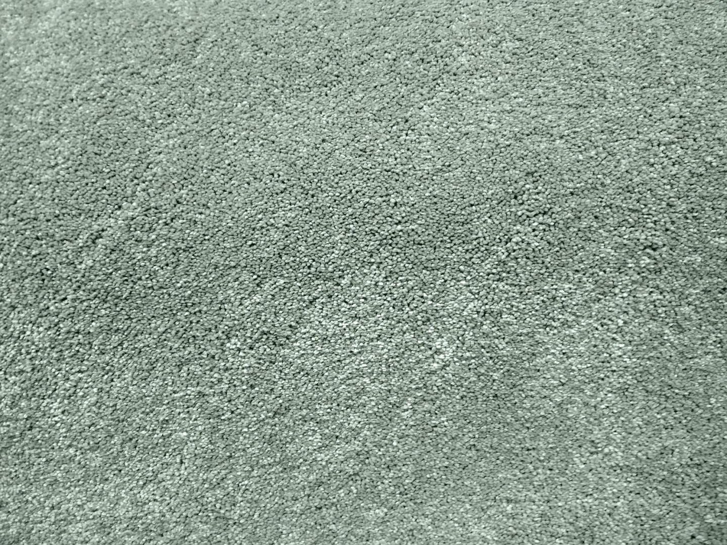 Condor Gran Sasso Elite 174