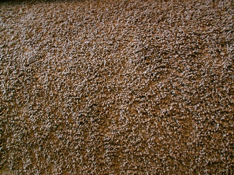 Condor Fashion 159 - wyprzedaż