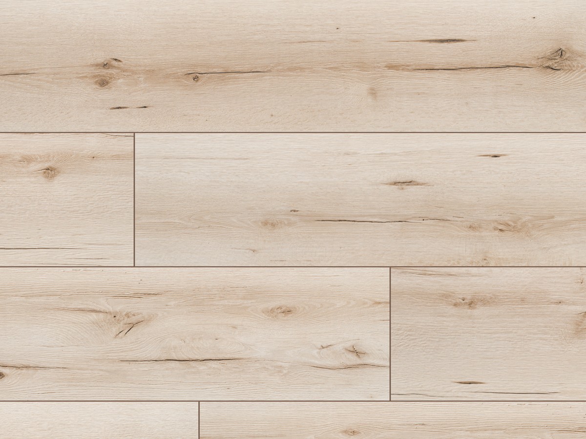 Classen Dąb Augusta Szeroki-Wodoodporny