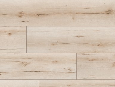 Classen Dąb Augusta Szeroki-Wodoodporny