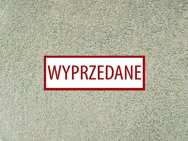 California Twist 78 - wyprzedaż