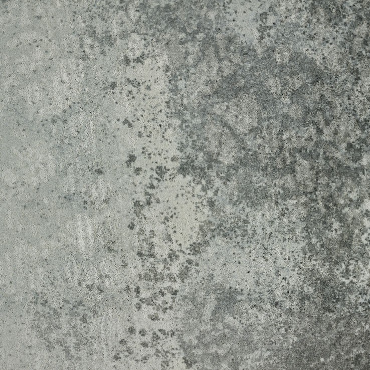 Beaulieu Carus Wilderness WIL01 WD159