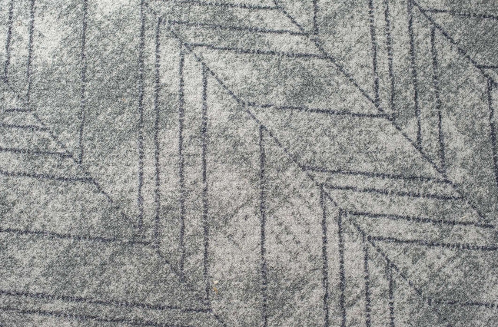 Beaulieu Carus Expedition Eden 129