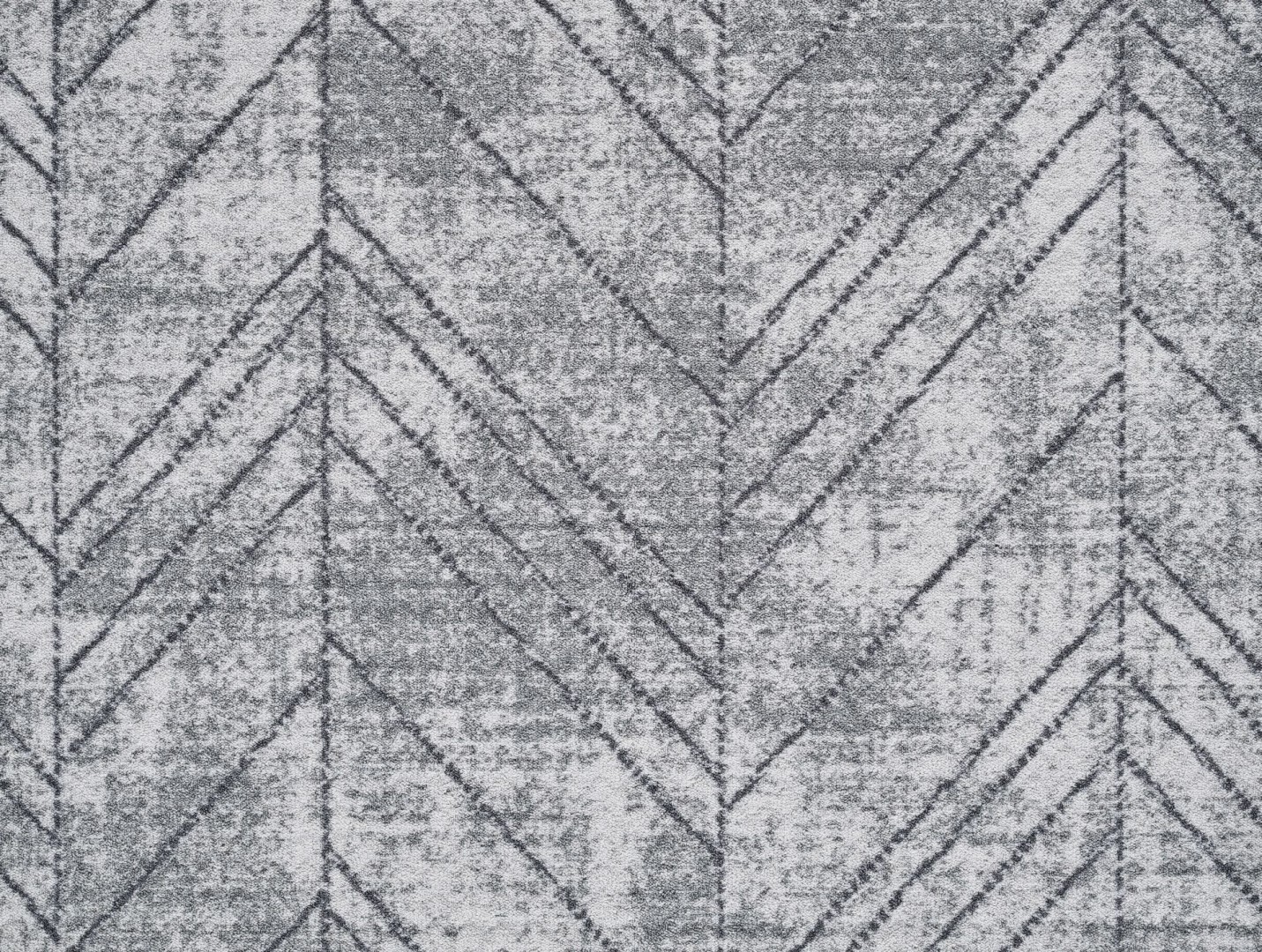 Beaulieu Carus Expedition Eden 129