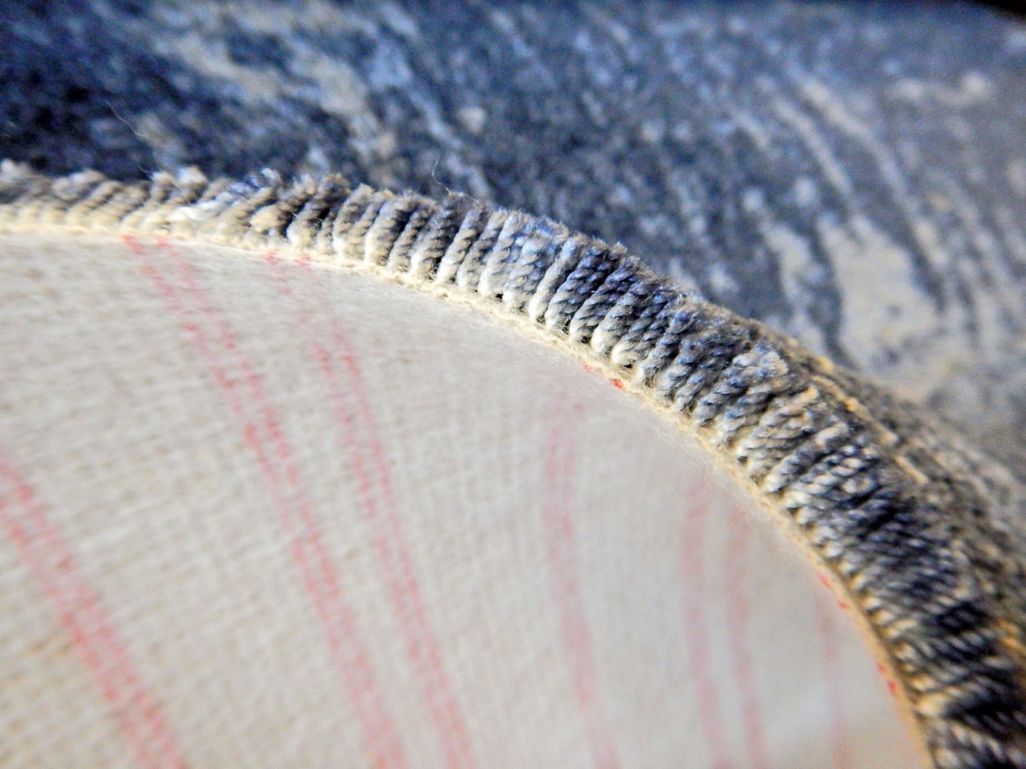 Carus Golden Gate 002 27890