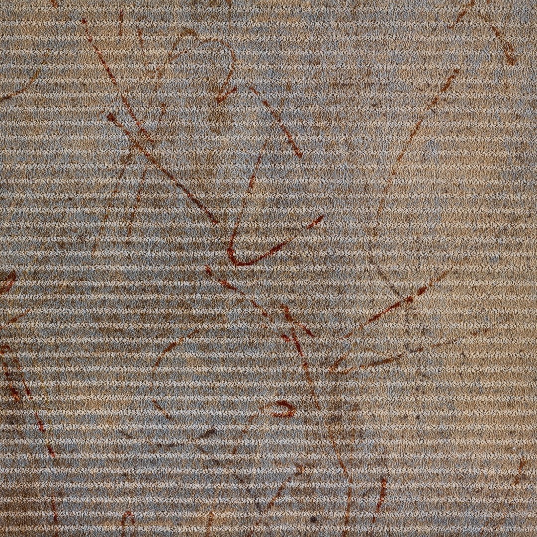 Beaulieu Carus Prestige 19364