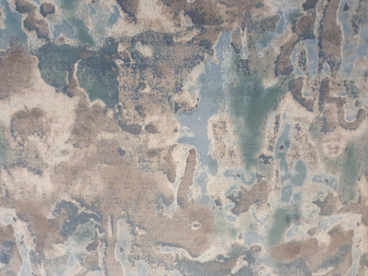 Beaulieu Carus Inte8 26007