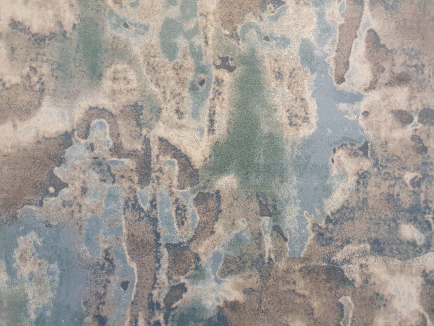 Beaulieu Carus Inte8 26007