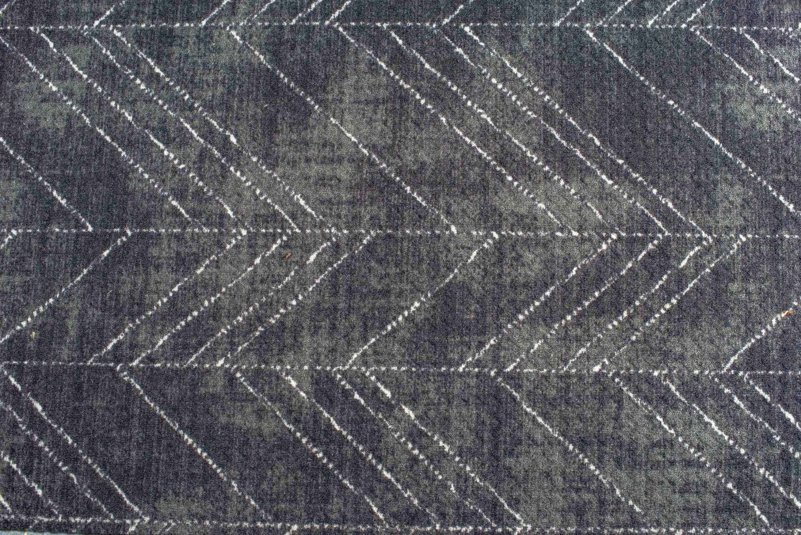 Beaulieu Carus Expedition Eden 199