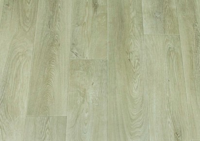 Activia Latur 1