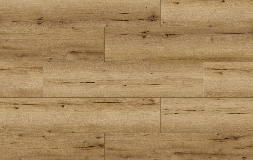 Classen Dąb Cassano