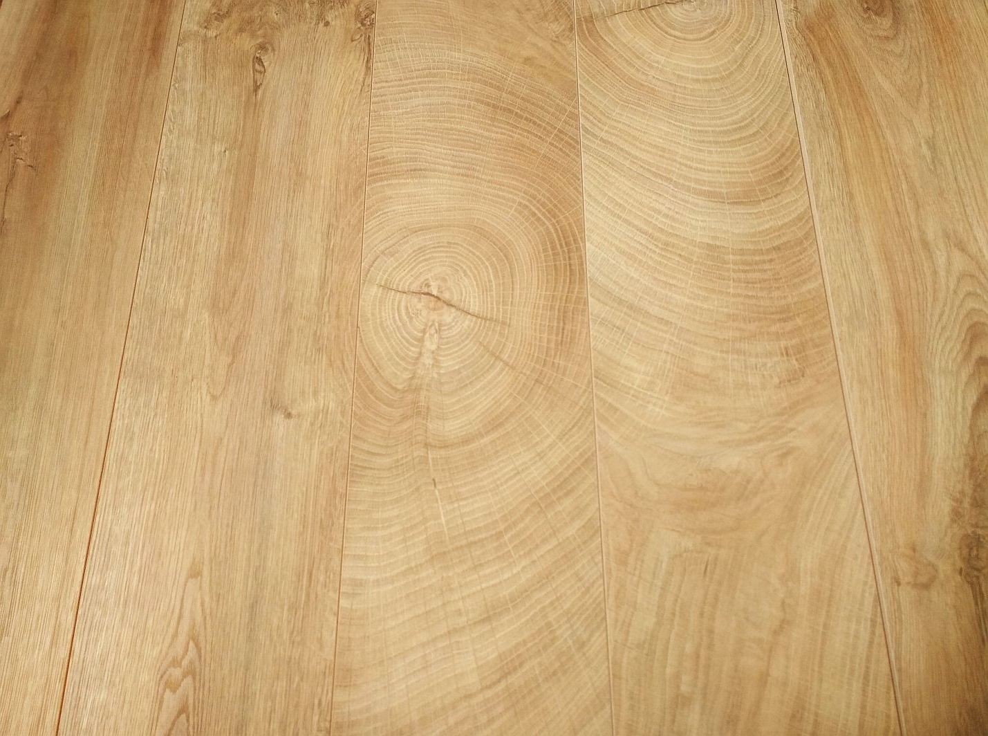 Weninger Dąb Floryda