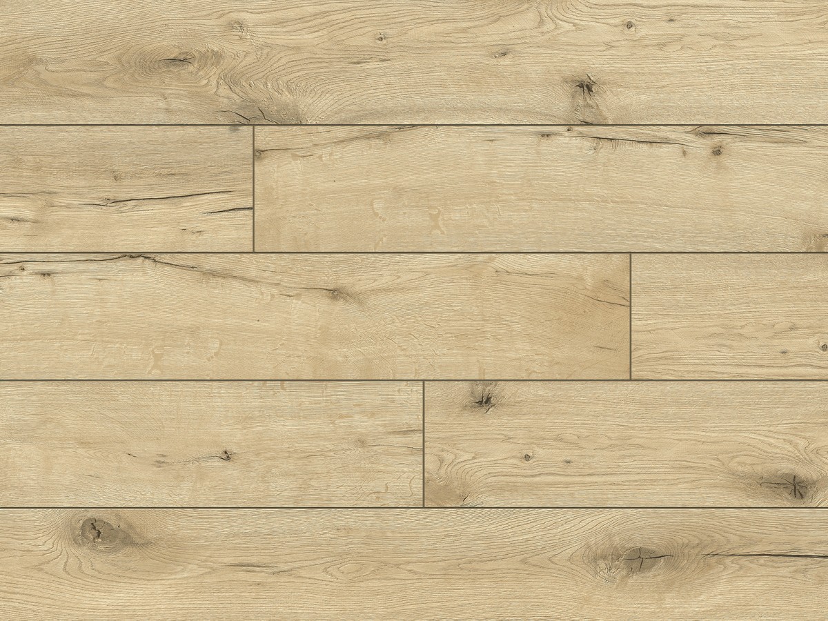 Classen Dąb Tanganika WODOODPORNY