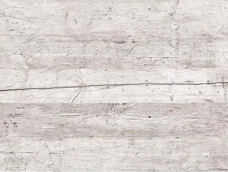 Classen Dąb Montana