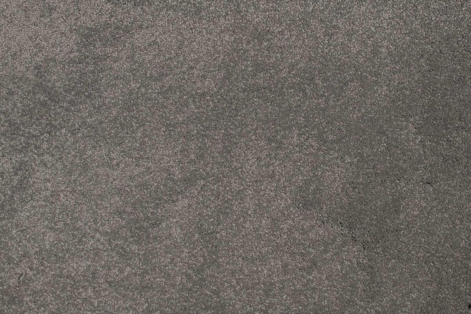 Condor Hollandia-Speciaal 75