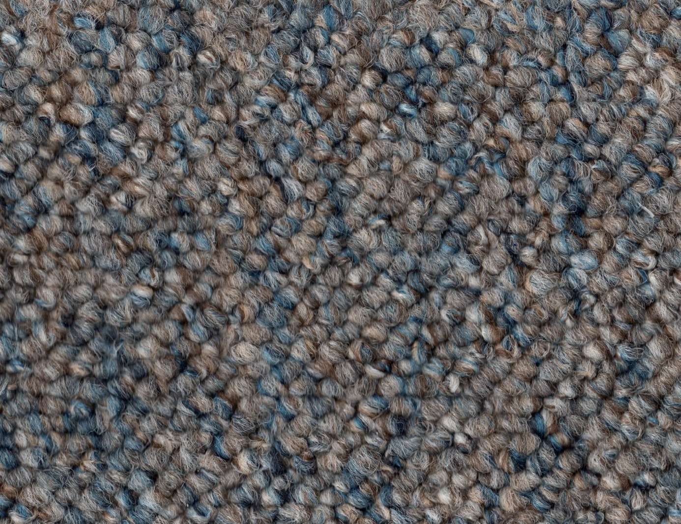 Condor Robust Obiekt 80