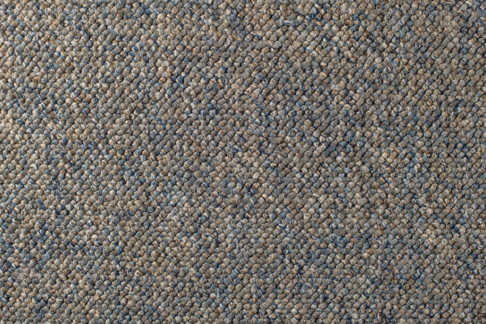 Condor Robust Obiekt 80