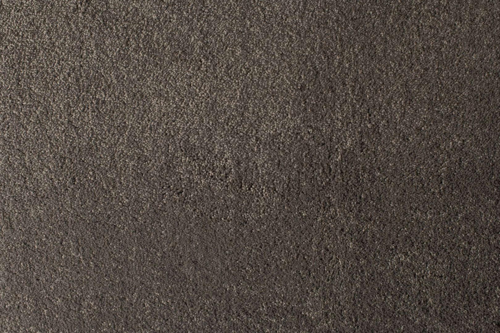 Condor Hollandia-Speciaal 77