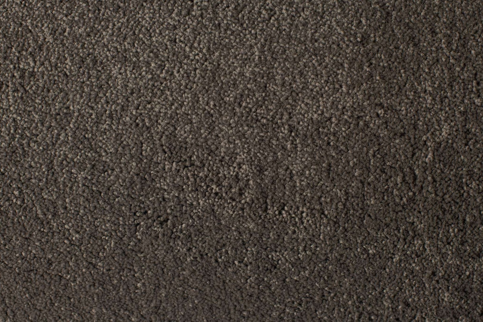 Condor Hollandia-Speciaal 77