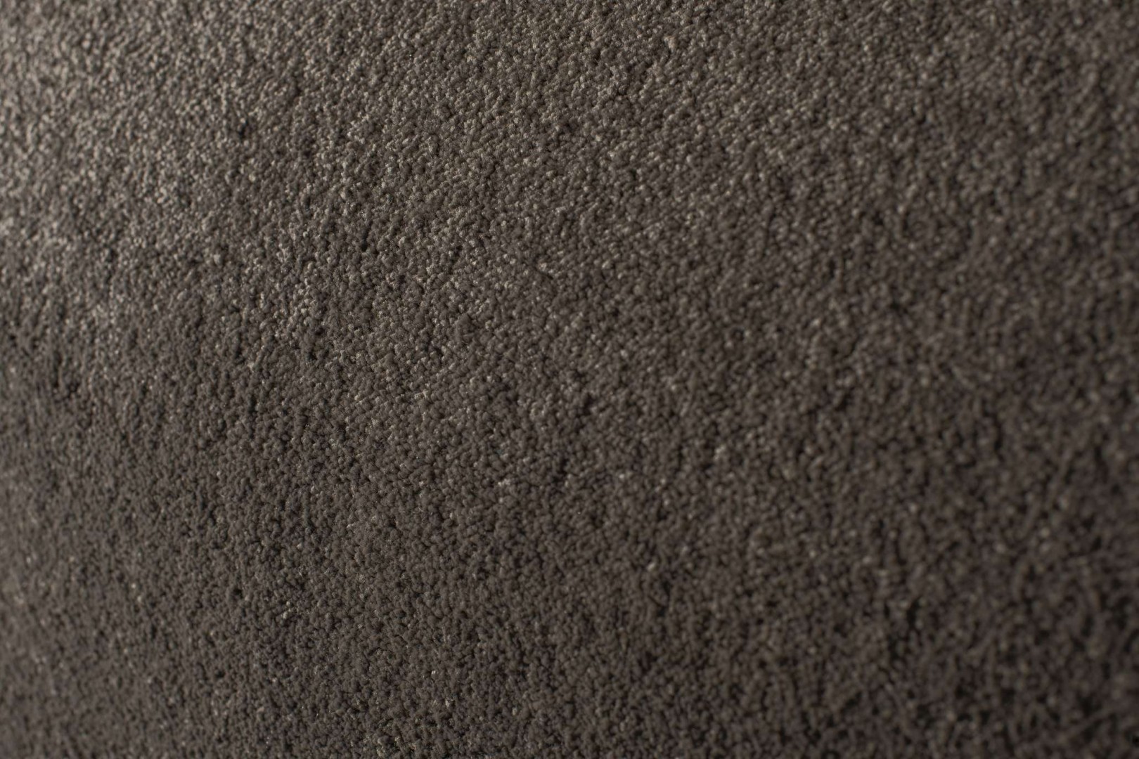 Condor Hollandia-Speciaal 77