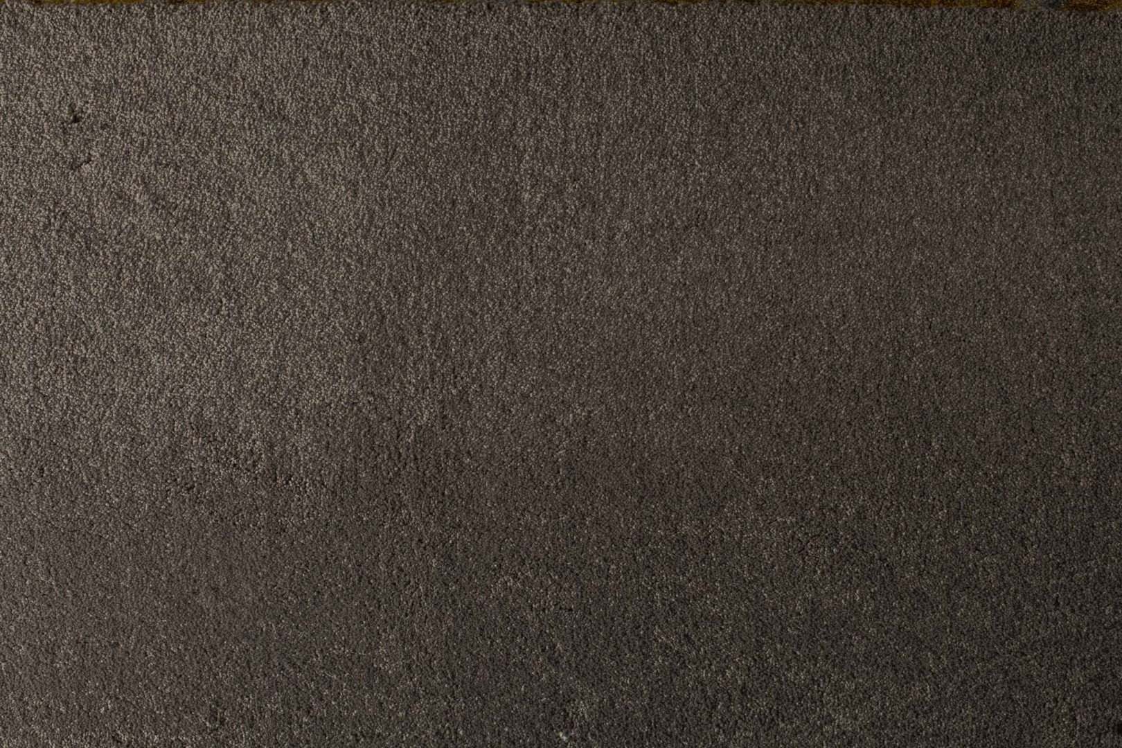 Condor Hollandia-Speciaal 77