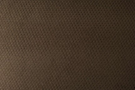 Vorwerk FW 218