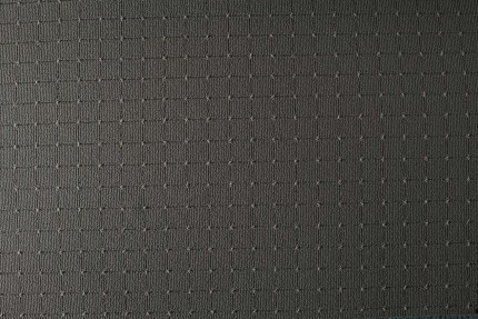 Vorwerk FW 261