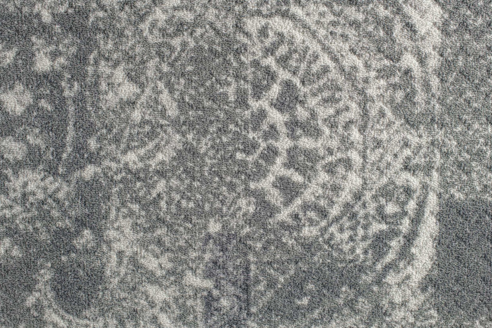 Beaulieu Carus Inte13 25009