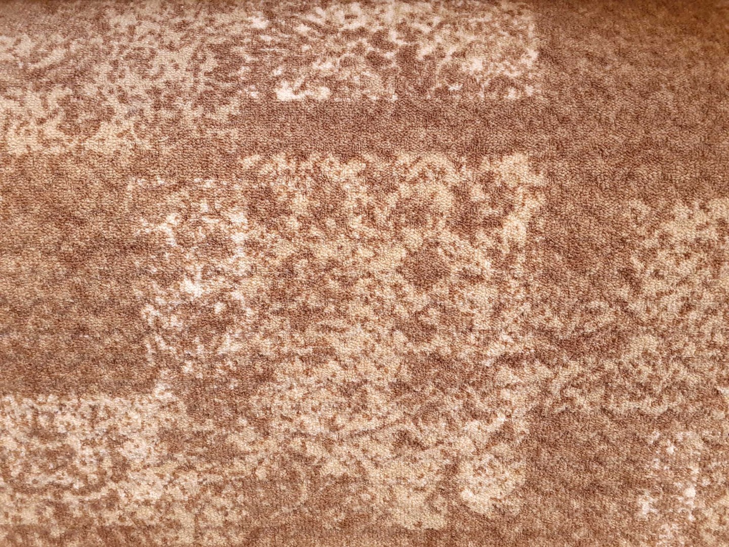 Beaulieu Carus Inte13 22007