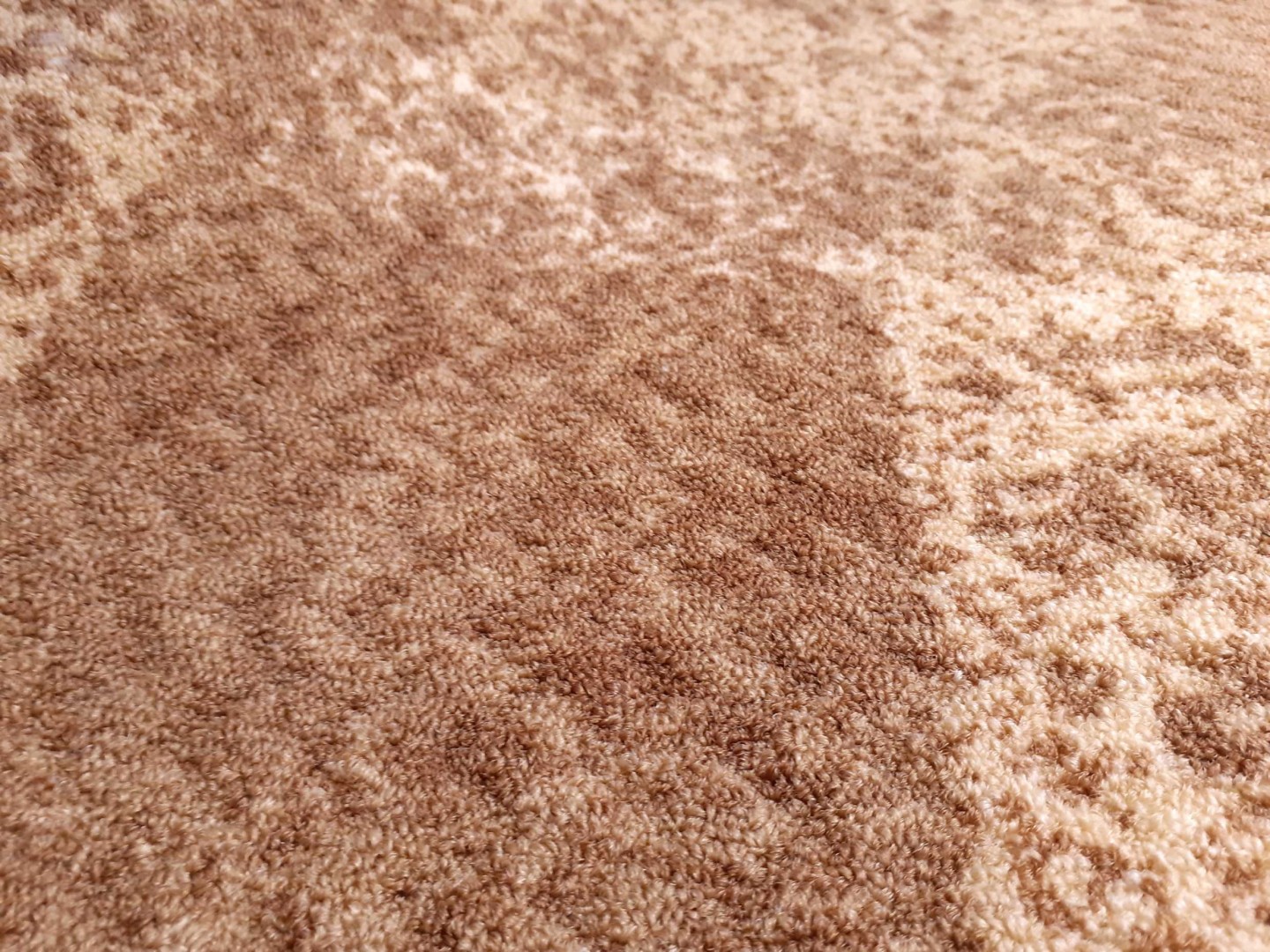 Beaulieu Carus Inte13 22007