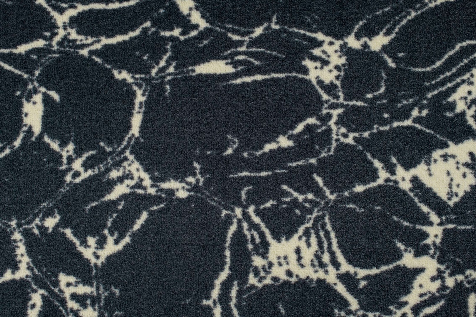 Beaulieu Carus Inte15 23009