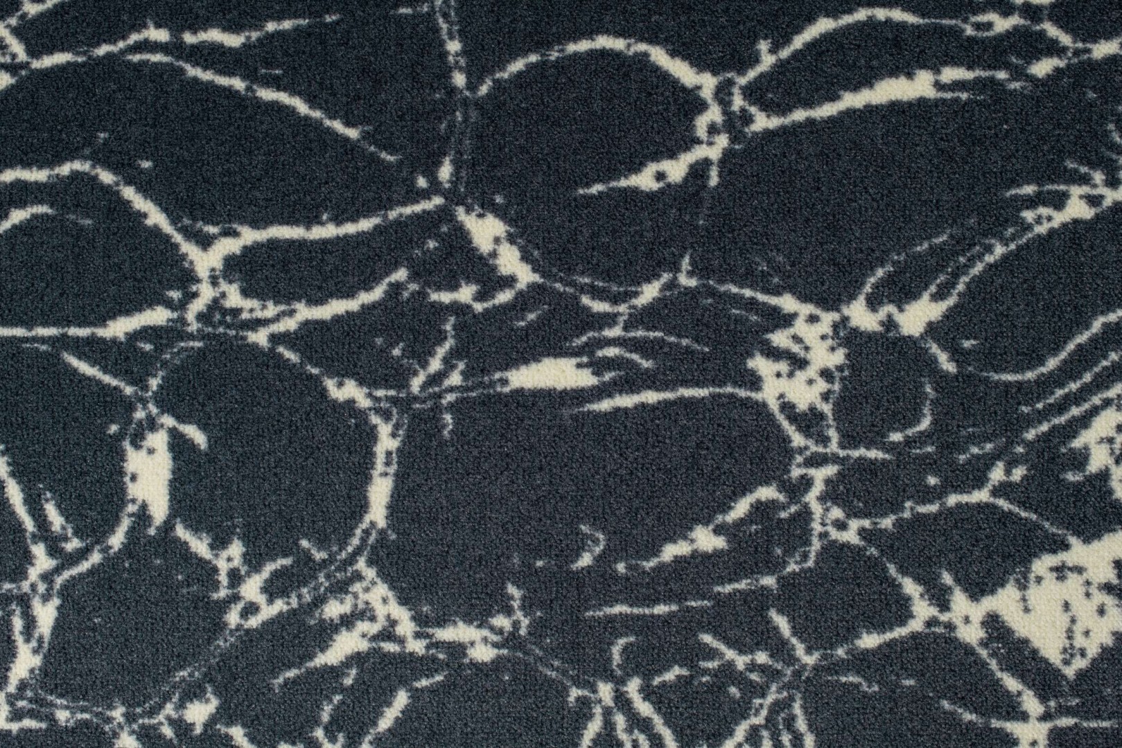 Beaulieu Carus Inte15 23009