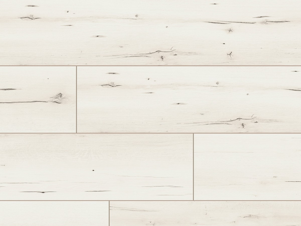 Classen Dąb Caserta