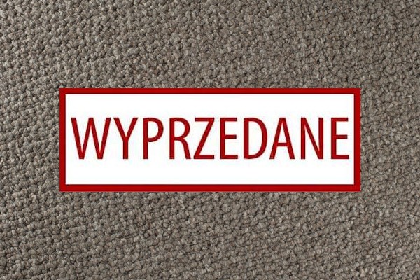 Condor Robust Obiekt 192 Brąz