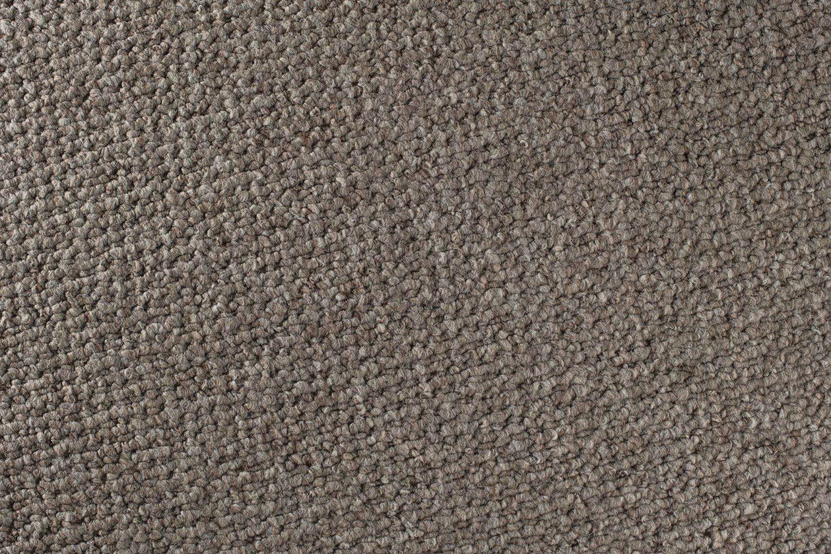 Condor Robust Obiekt 192 Brąz