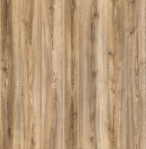 Weninger Aquatus Jukon