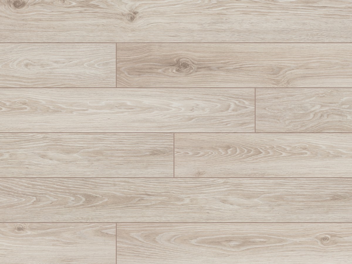 Classen Dąb Argenta Beżowy