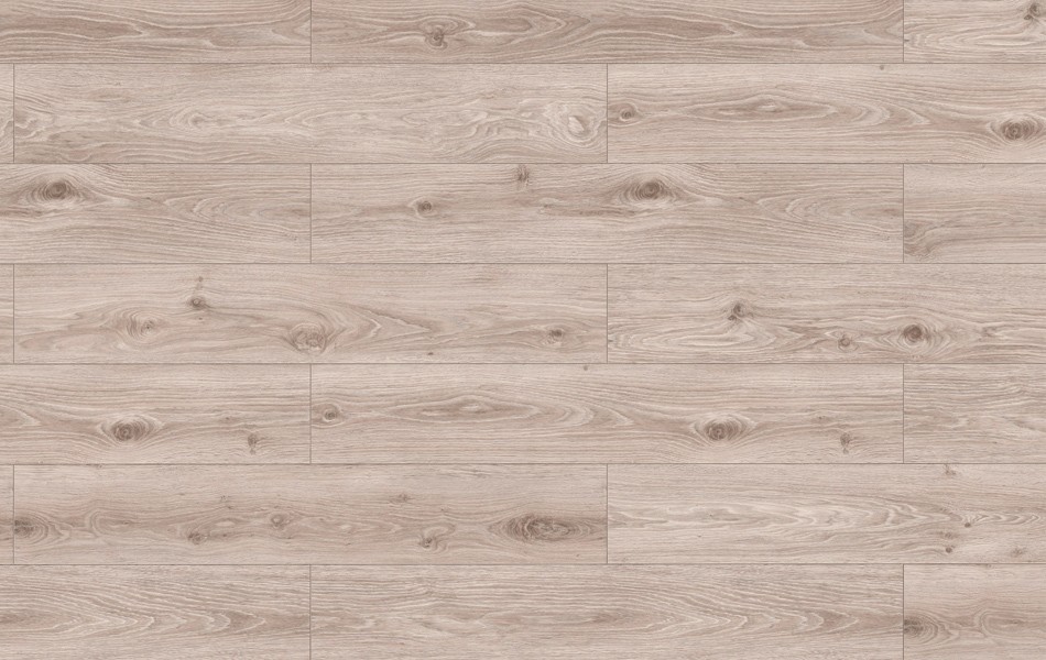 Classen Dąb Argenta Beżowy