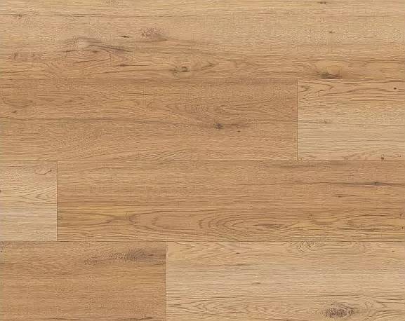 Weninger Lotus Dąb Valencia