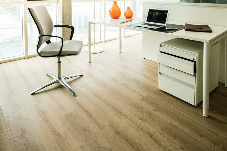 Weninger Lotus Dąb Borneo