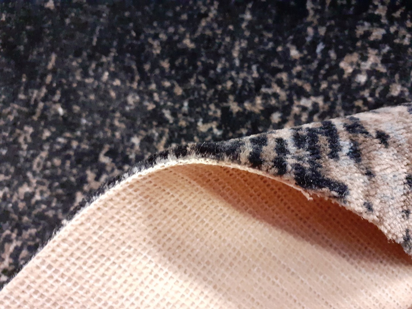 Beaulieu Carus Inte11 00007