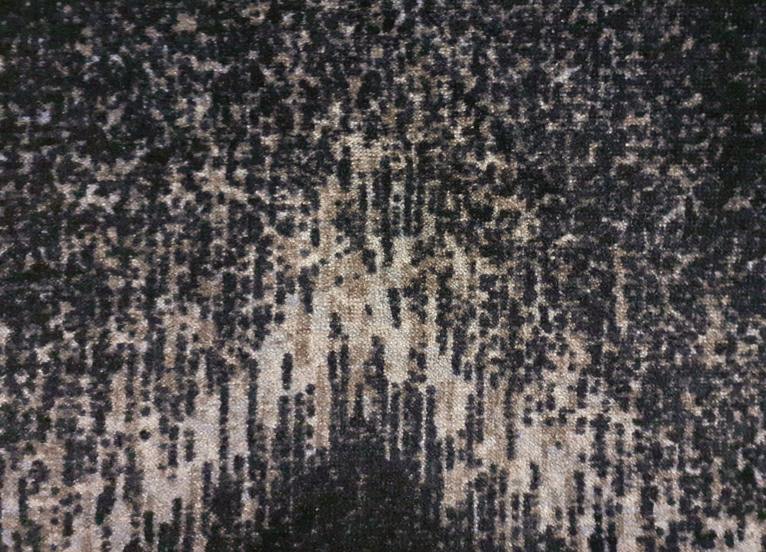 Beaulieu Carus Inte11 00007