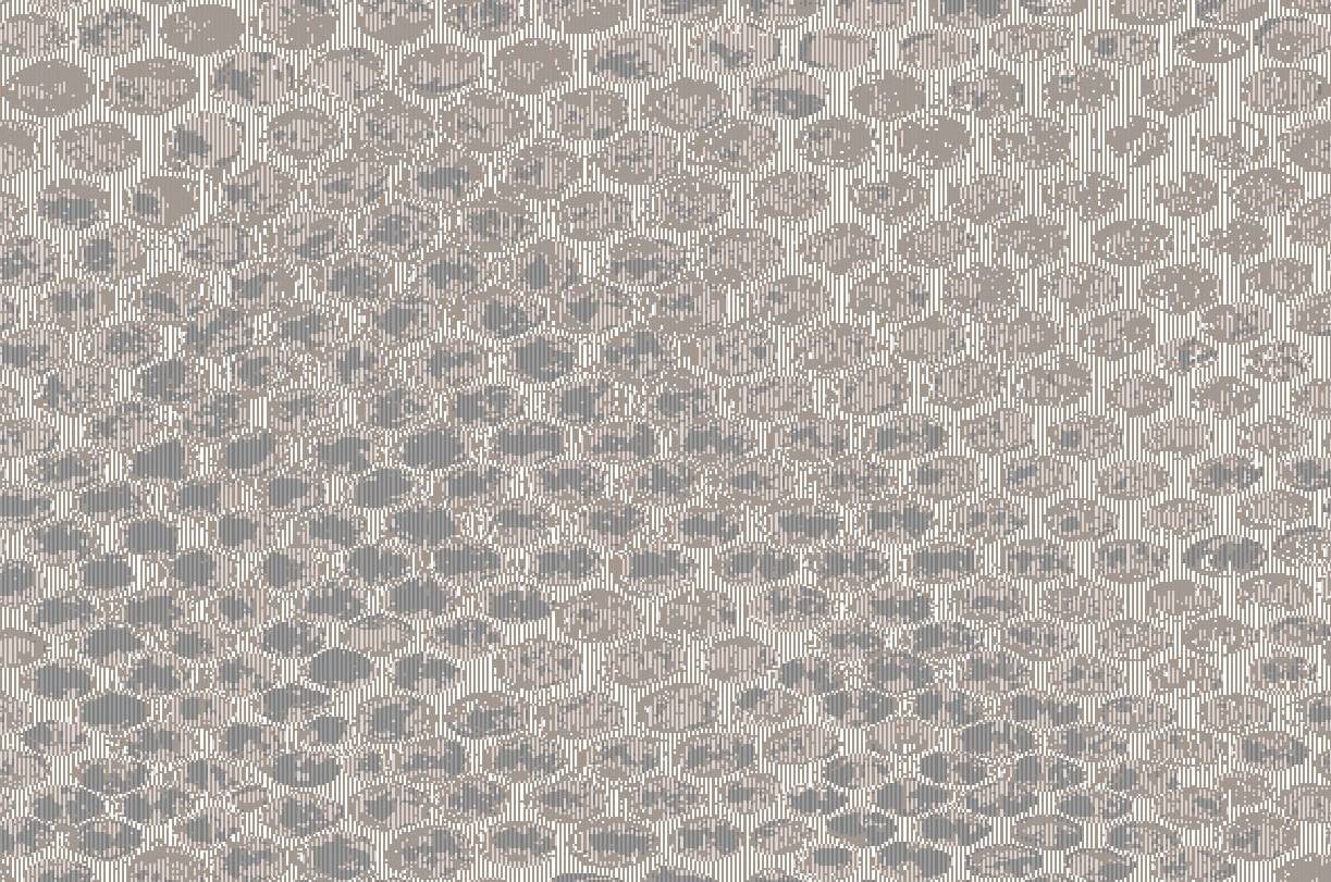 Beaulieu Carus SU005 25151