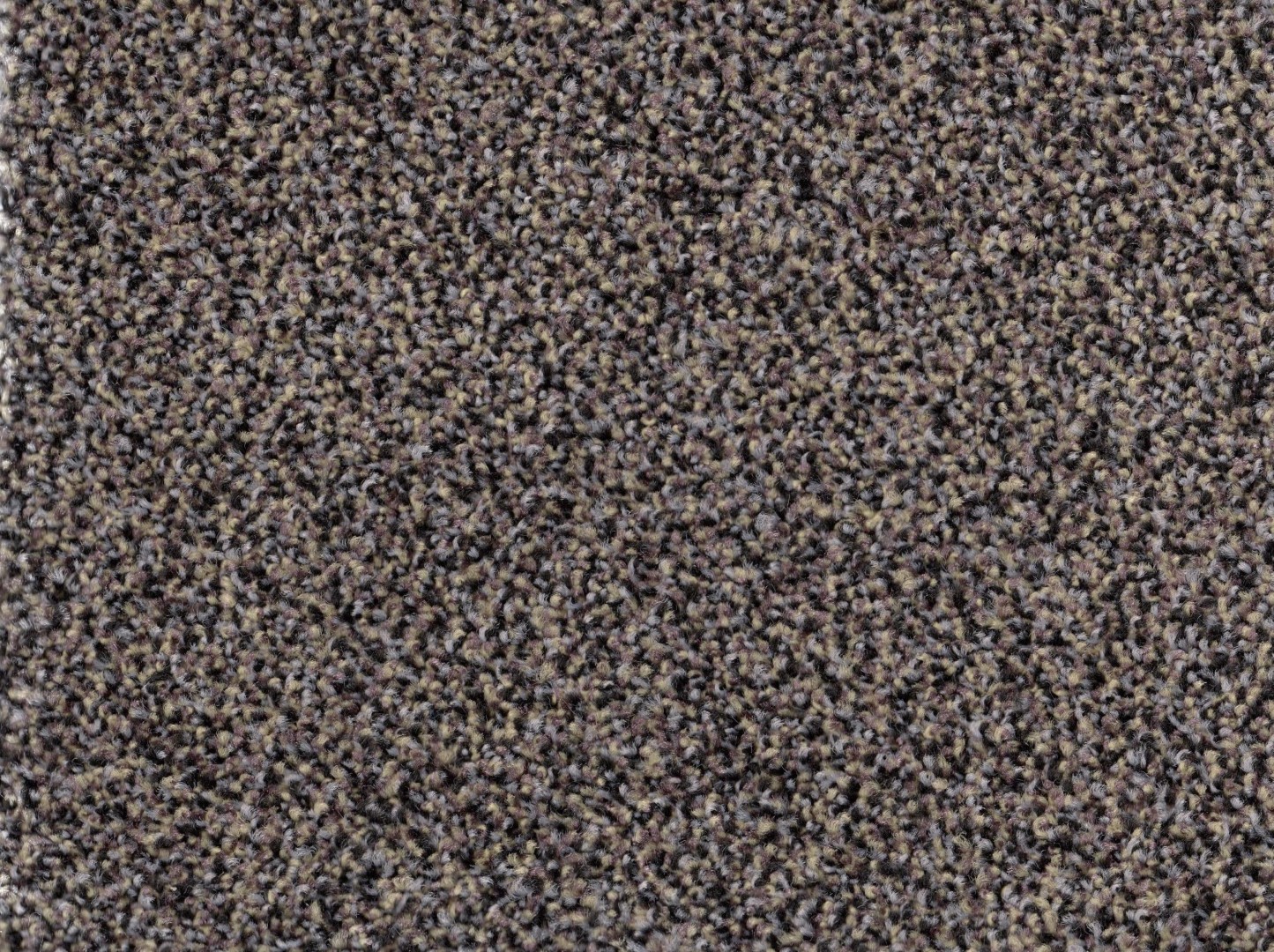 Condor O-Pescara 1027