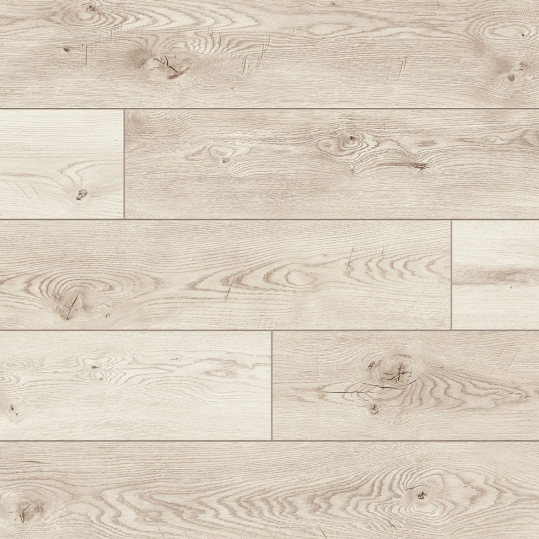 Classen Dąb Maracaibo