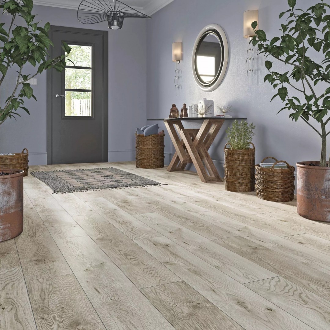 Classen Dąb Maracaibo