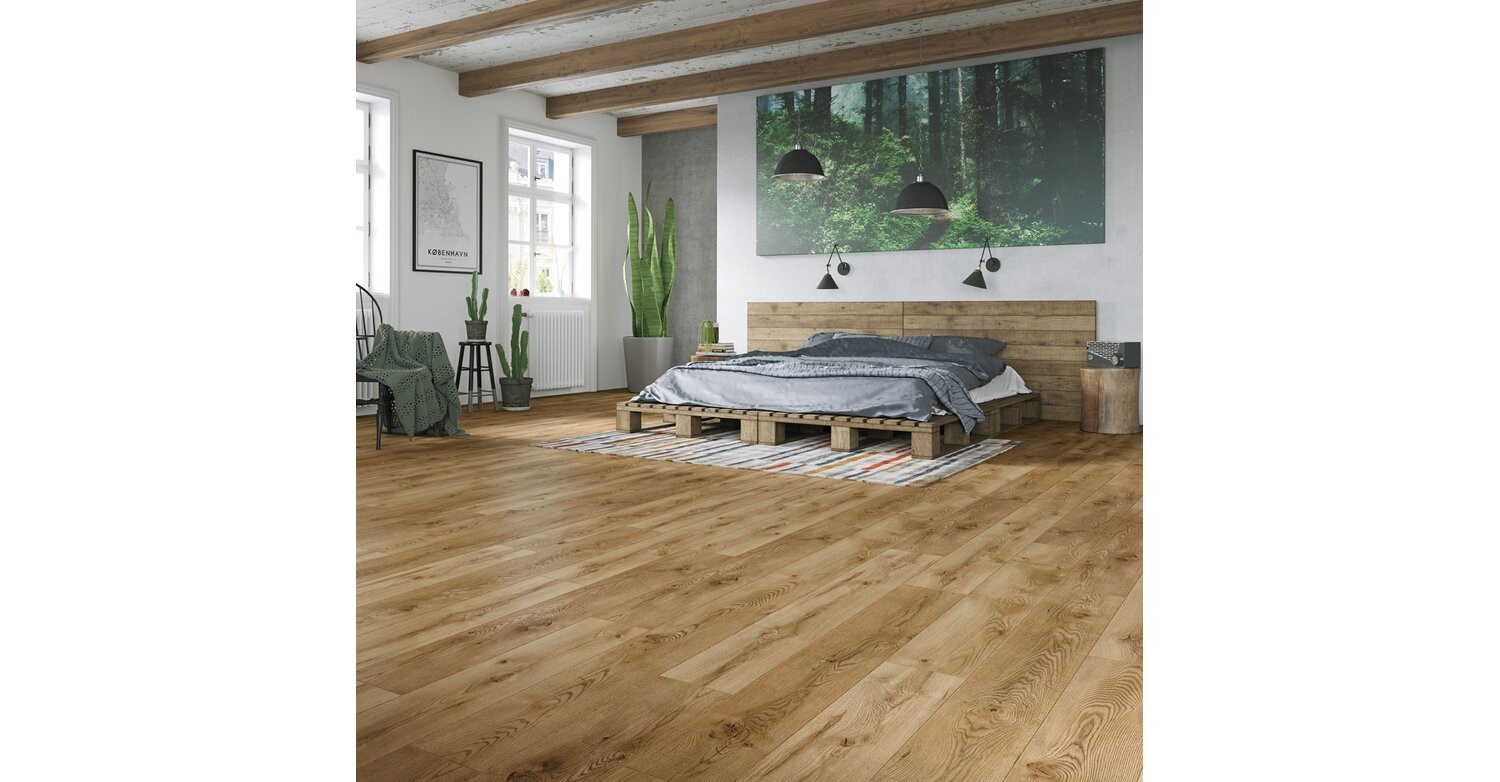 Classen Dąb Athabasca AC5 - 8mm (multicolor)